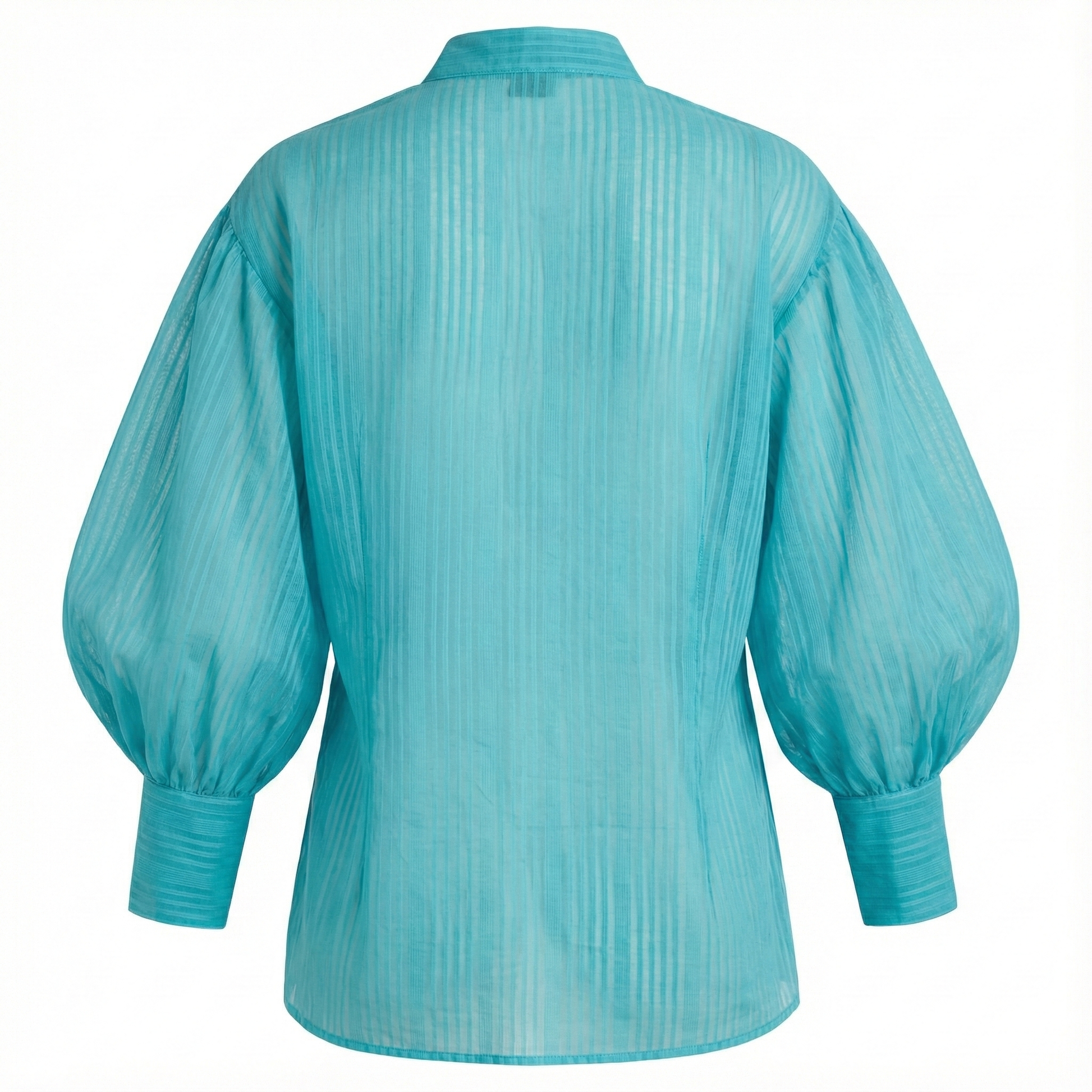 Solid Ballon Sleeve Shirt