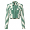 Stripe crop shirt